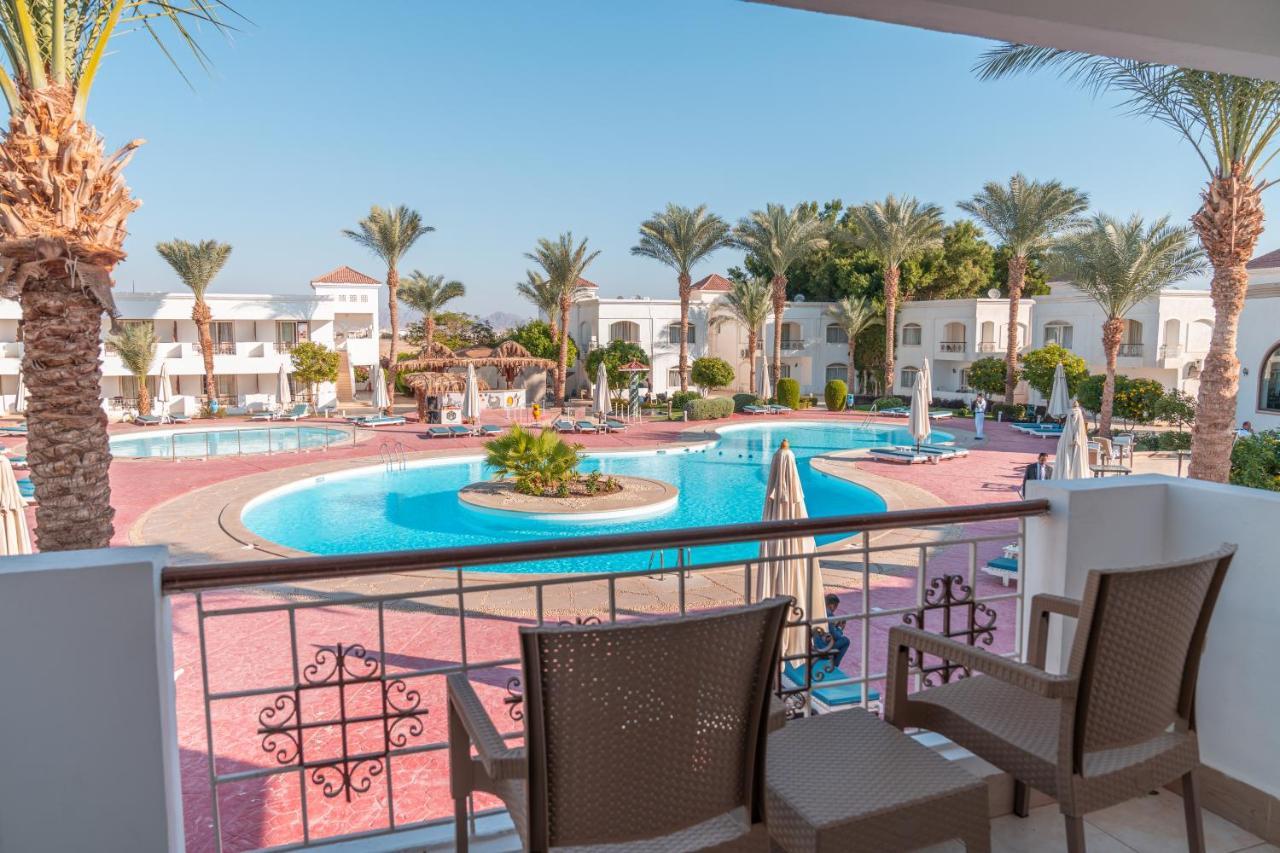 ホテル Viva Sharm エクステリア 写真